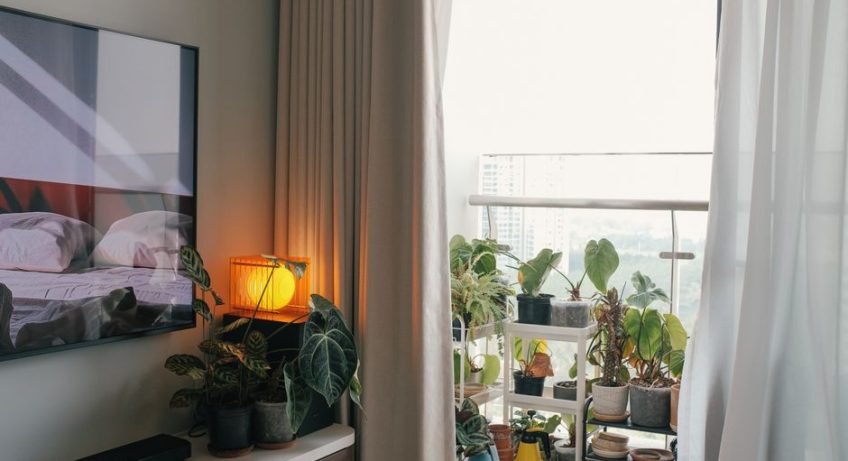 Pourquoi le compost d'appartement sent mauvais et comment y remédier